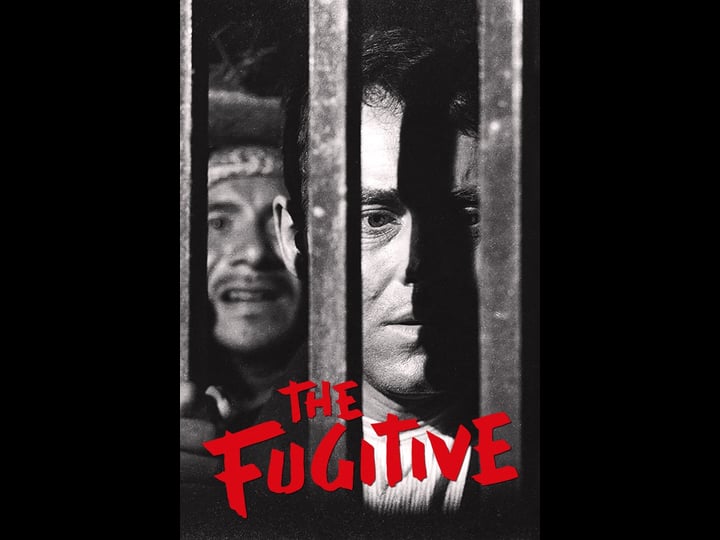 the-fugitive-tt0039402-1