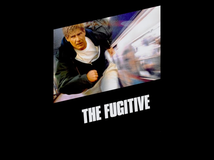 the-fugitive-tt0106977-1