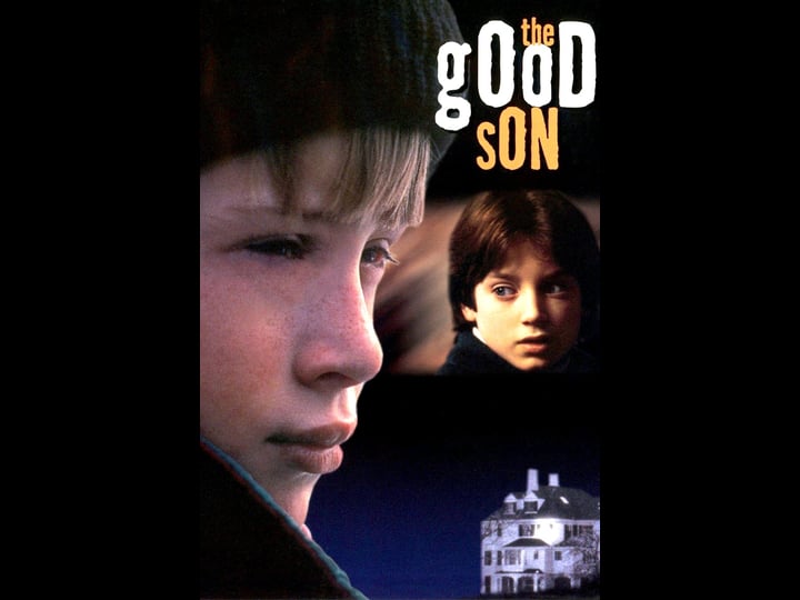 the-good-son-tt0107034-1