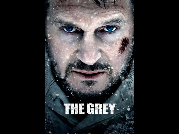 the-grey-tt1601913-1