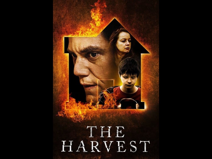 the-harvest-tt2543336-1
