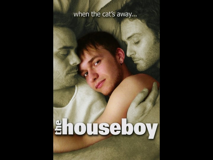 the-houseboy-tt1132161-1