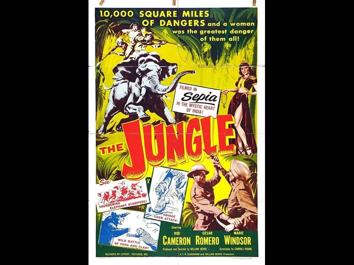 the-jungle-2500462-1