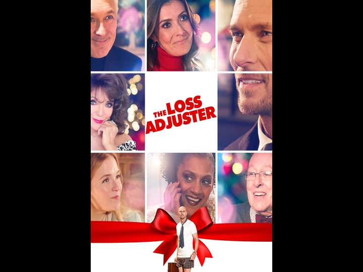the-loss-adjuster-tt6841828-1
