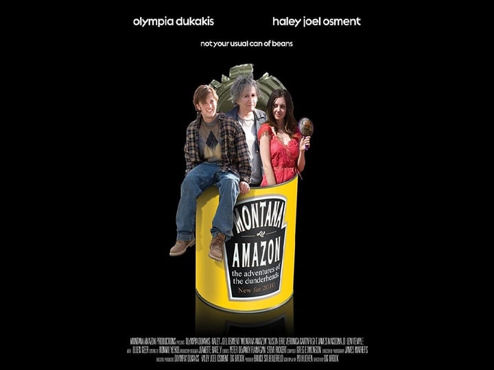 the-misadventures-of-the-dunderheads-767062-1