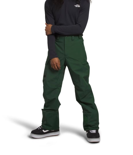 the-north-face-freedom-pant-mens-pine-needle-xl-regular-1