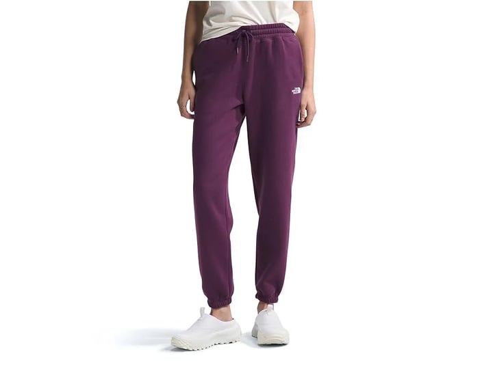the-north-face-half-dome-fleece-sweatpants-womens-clothing-black-currant-purple-2xl-one-size-1