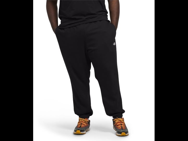 the-north-face-mens-big-tall-half-dome-sweatpants-black-1