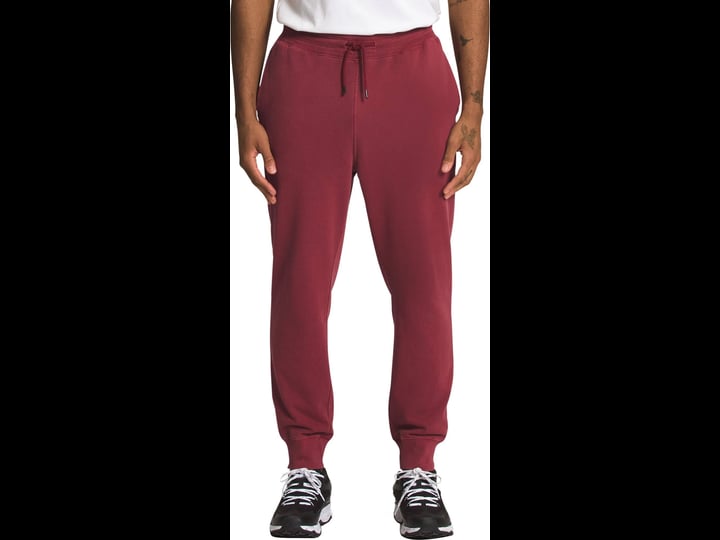 the-north-face-mens-garment-dye-jogger-pants-brown-l-1