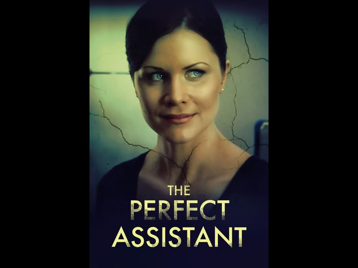 the-perfect-assistant-4395931-1