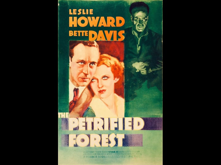 the-petrified-forest-tt0028096-1