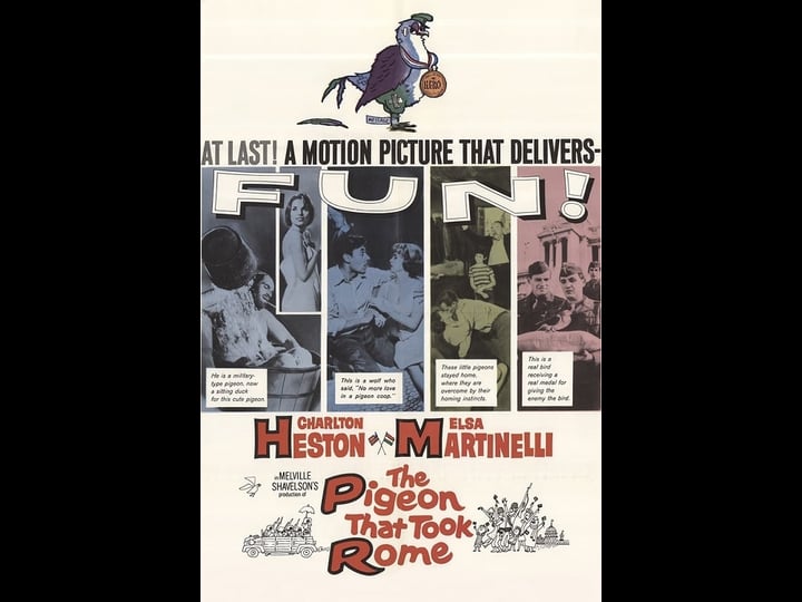 the-pigeon-that-took-rome-tt0056349-1