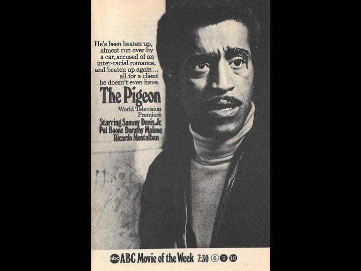 the-pigeon-tt0064811-1