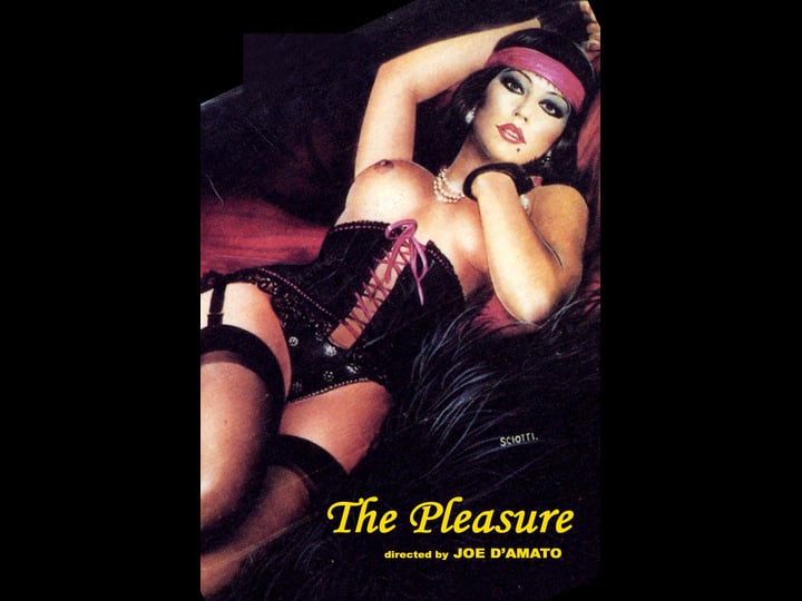 the-pleasure-4499527-1
