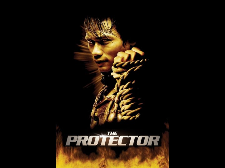 the-protector-tt0427954-1