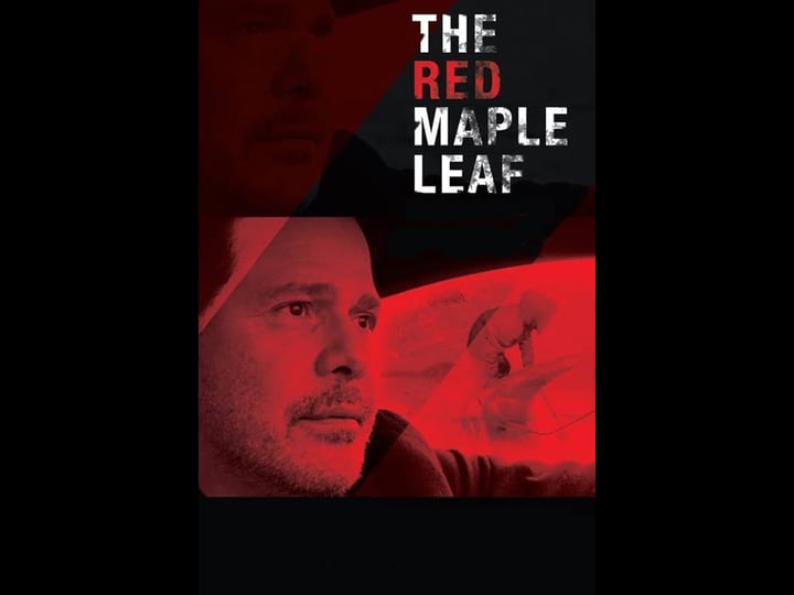the-red-maple-leaf-tt5537140-1