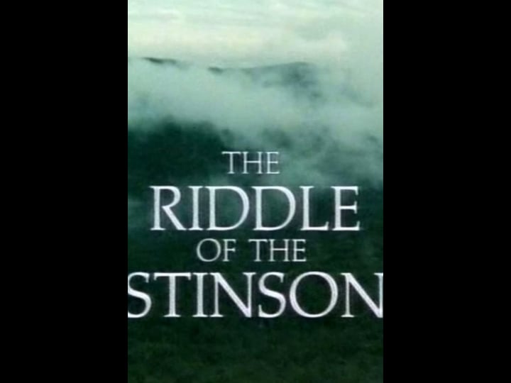 the-riddle-of-the-stinson-4418608-1