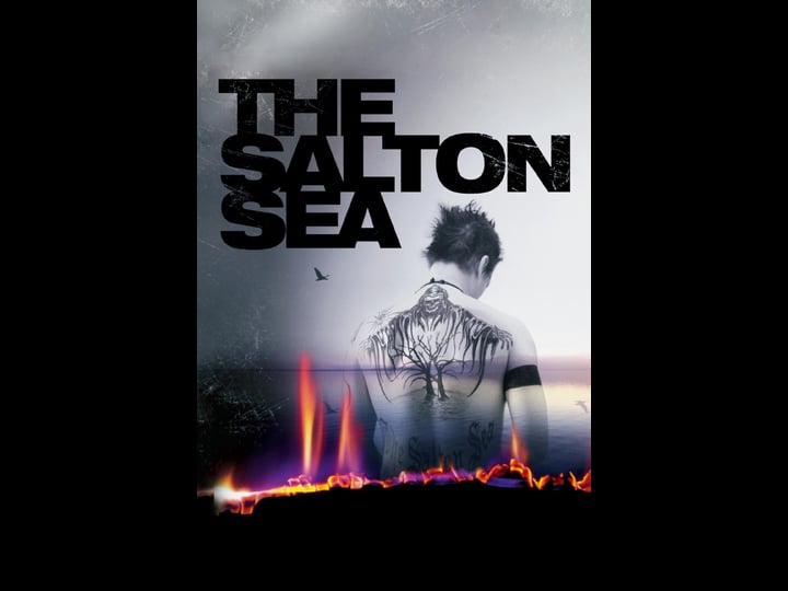 the-salton-sea-tt0235737-1