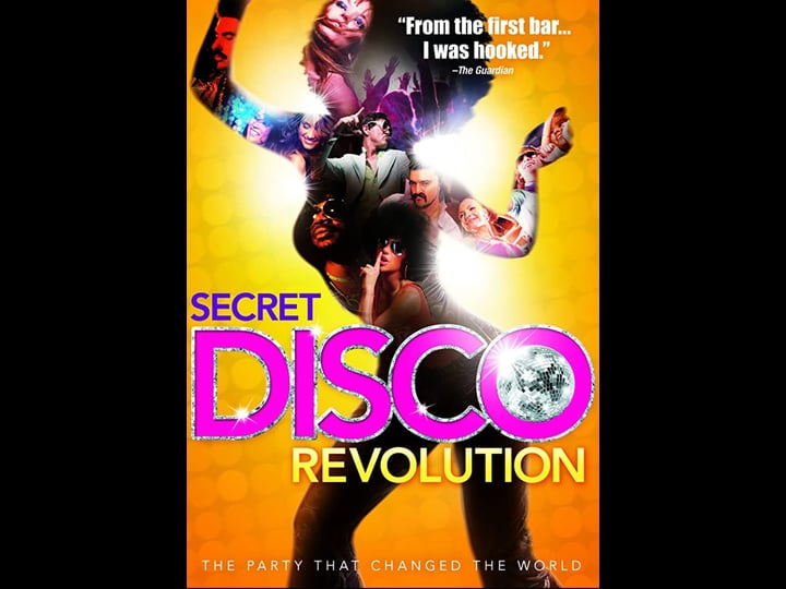 the-secret-disco-revolution-tt2011271-1