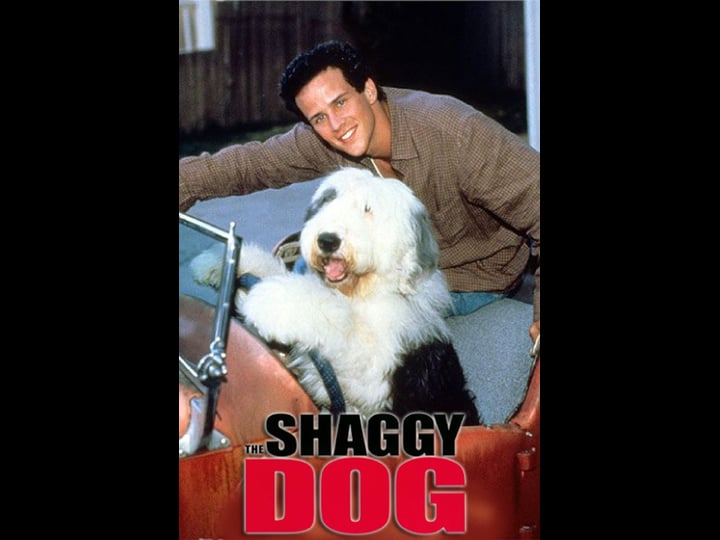 the-shaggy-dog-tt0111146-1