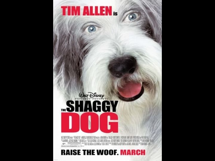 the-shaggy-dog-tt0393735-1