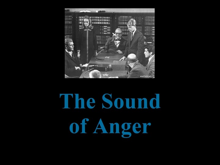 the-sound-of-anger-4325574-1