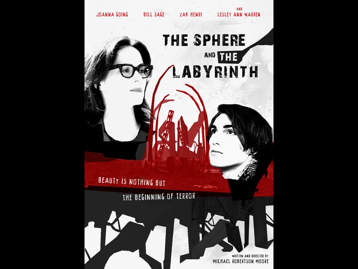 the-sphere-and-the-labyrinth-2037317-1