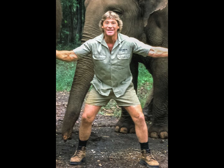 the-steve-irwin-story-tt9389612-1