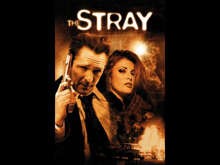 the-stray-tt0194410-1