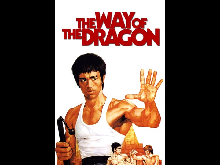 the-way-of-the-dragon_tt0068935-1