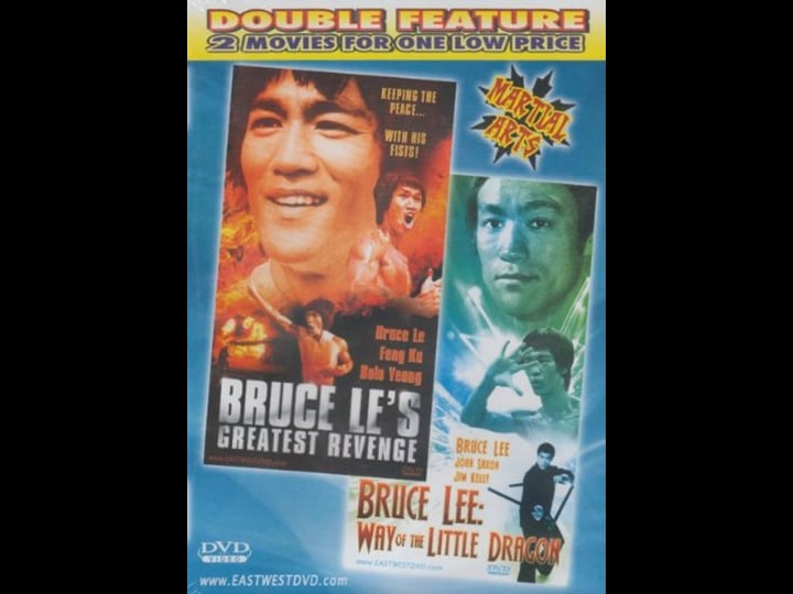 the-way-of-the-little-dragon-tt1152727-1