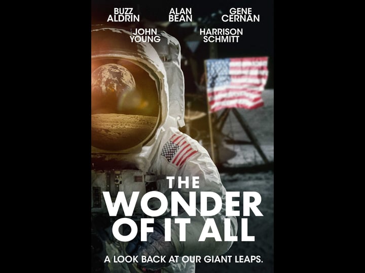 the-wonder-of-it-all-tt0928406-1