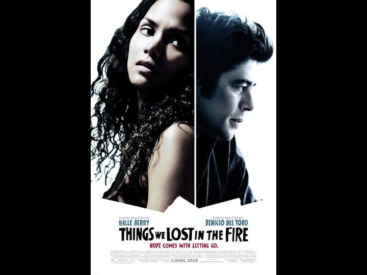 things-we-lost-in-the-fire-tt0469623-1