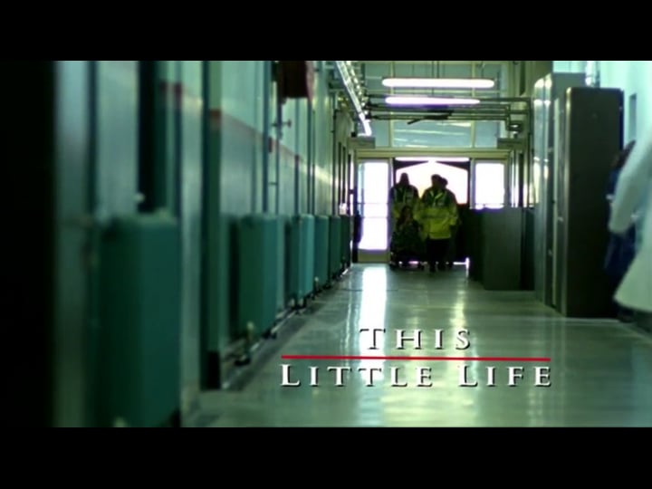 this-little-life-4408652-1