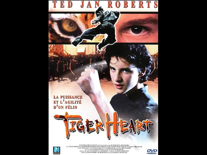 tiger-heart-4436280-1