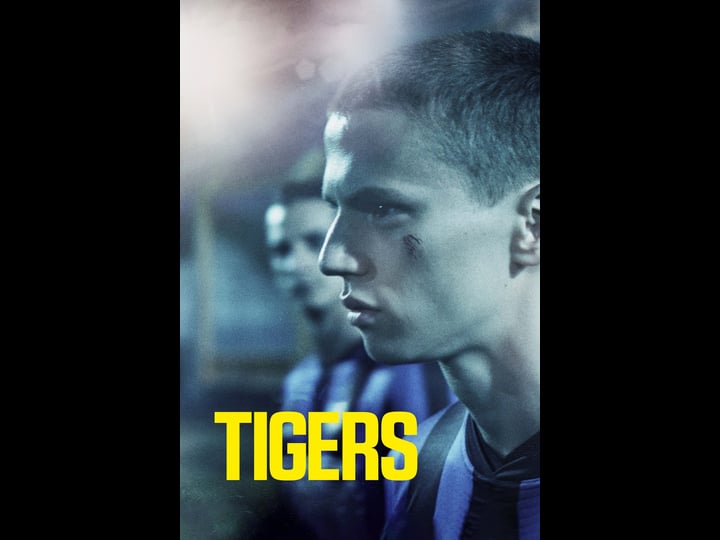tigers-4473622-1