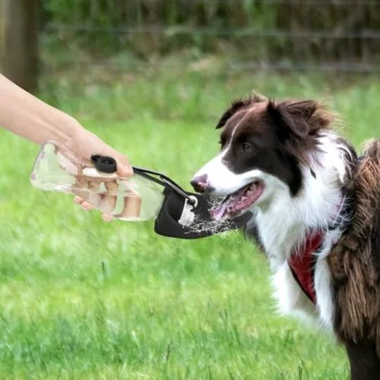 tiovery-dog-water-bottle-portable-pet-water-dispenser-feeder-leak-proof-with-drinking-cup-dish-bowl--1