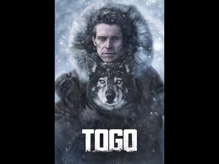 togo-tt5116302-1