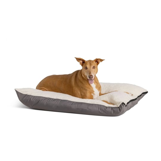 top-paw-home-35-x-48-pillow-dog-bed-petsmart-1
