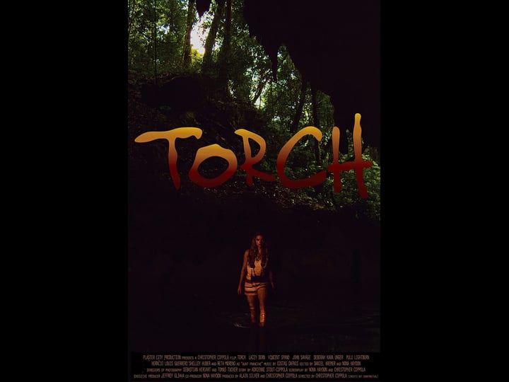 torch-769427-1