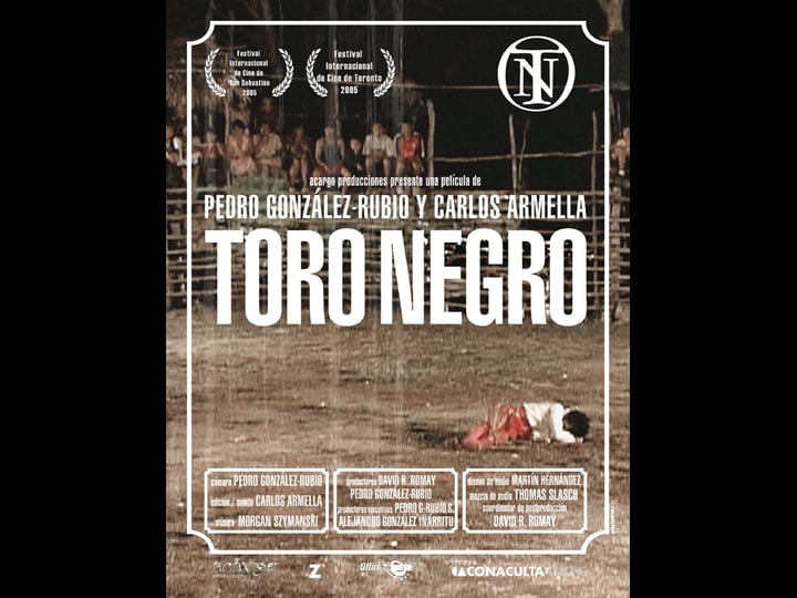 toro-negro-tt0462045-1