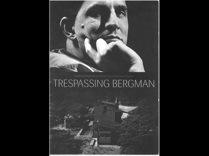 trespassing-bergman-tt3103454-1