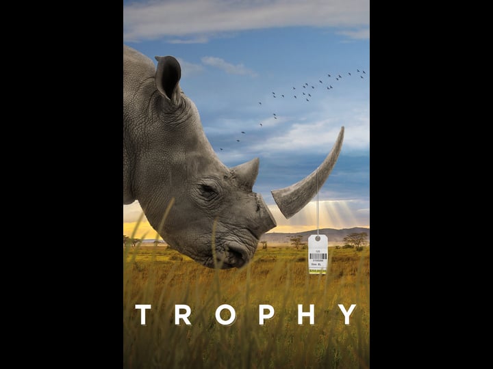 trophy-tt6333066-1