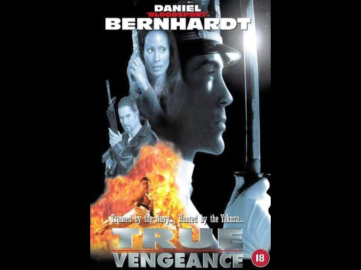 true-vengeance-tt0117978-1