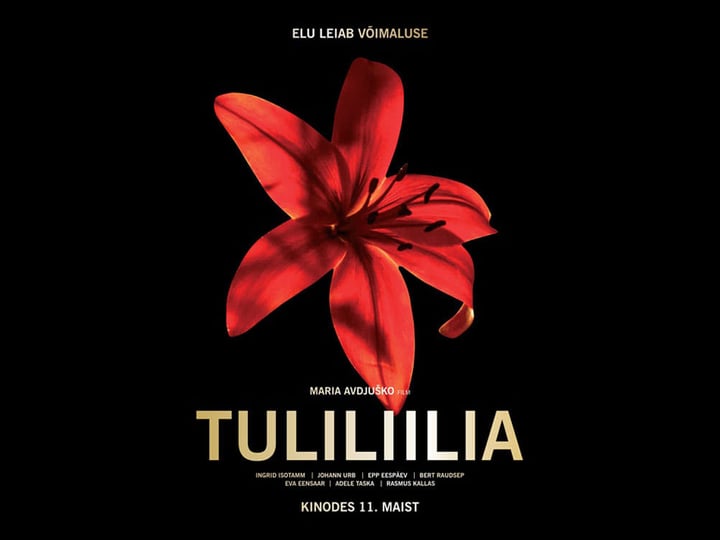 tuliliilia-4473797-1
