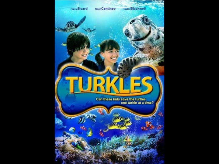 turkles-4309843-1