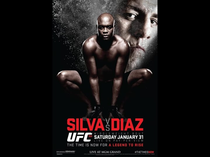 ufc-183-silva-vs-diaz-tt4084150-1