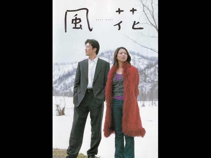 umbrella-flower-1502509-1