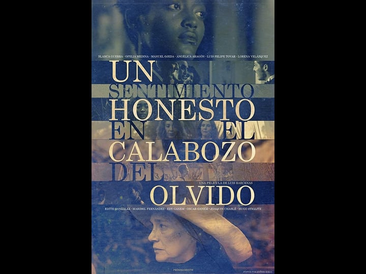 un-sentimiento-honesto-en-el-calabozo-del-olvido-4334675-1