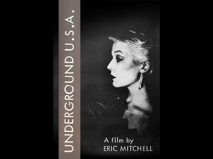 underground-u-s-a--tt0081682-1